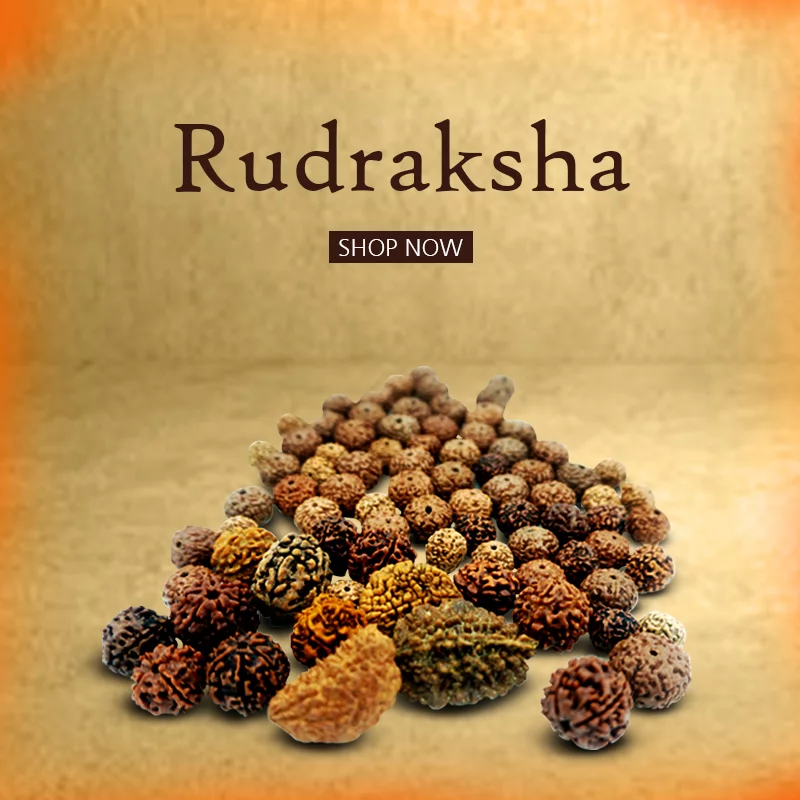 Rudraksh-Banner-1